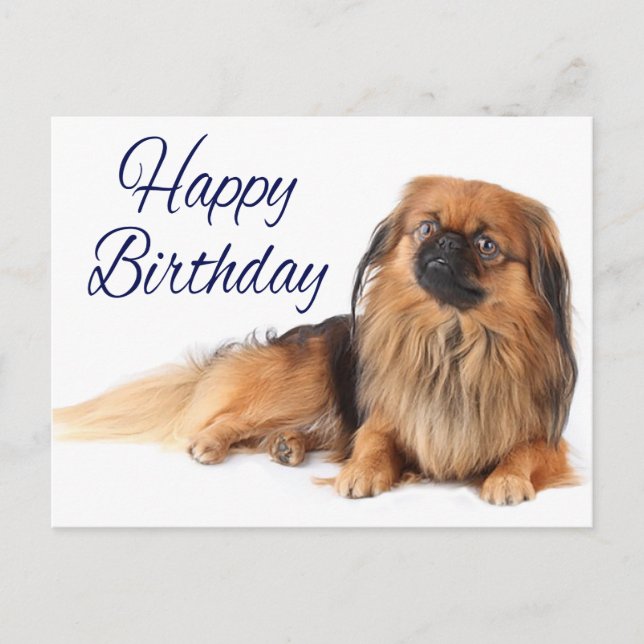 Cute Puppy Dog Lover Pekinese Birthday Postcard (Front)