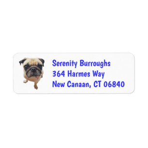 Cute Puppy Dog Lover Rescue Mom Funny Pug Label