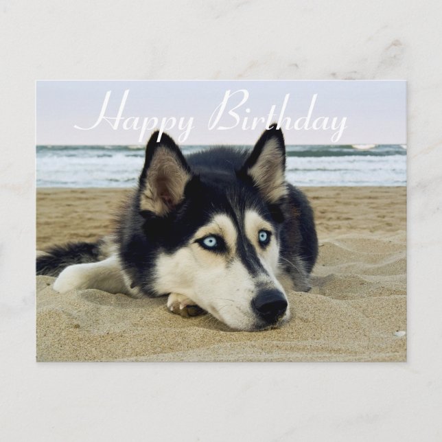 Cute Puppy Dog Lover Siberian Husky Birthday Postcard (Front)