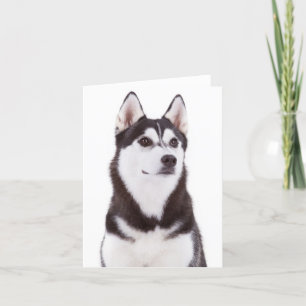 Cute Puppy Dog Lover Siberian Husky Hello Card