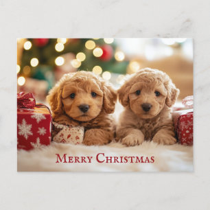 Cute Puppy Dog Merry Christmas Postcard