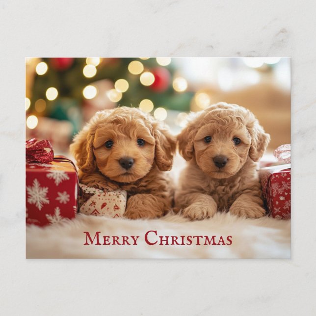 Cute Puppy Dog Merry Christmas Postcard (Front)