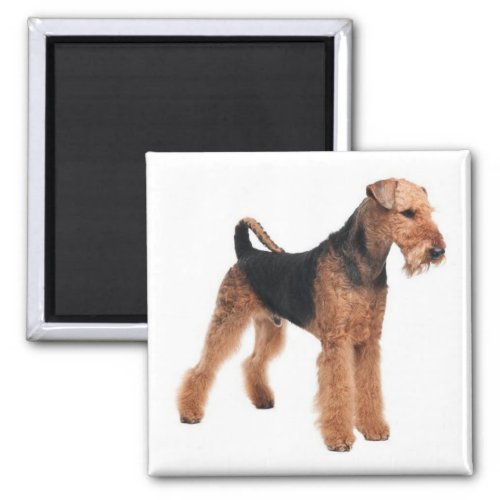 Cute Puppy Dog Mom Dog Lover Airedale Terrier Magnet