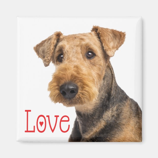 Cute Puppy Dog Mom Dog Lover Airedale Terrier Magnet (Front)