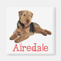 Cute Puppy Dog Mom Dog Lover Airedale Terrier