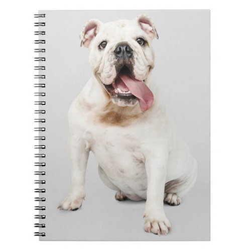 Cute Puppy Dog Mom Gift Funny English Bulldog Notebook