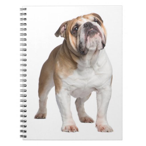 Cute Puppy Dog Mom Gift Funny English Bulldog Notebook