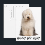 Cute Puppy Dog Old English Sheepdog Birthday Postcard<br><div class="desc">Sending birthday greetings to friends and family has never been easier than with this cute Old English Sheepdog puppy dog Happy Birthday postcard, Dog birthday postcards are perfect for * greeting cards * businesses - vets, groomers, trainers, breeders, walkers * dog rescue and adoption programs * personal notes to friends...</div>