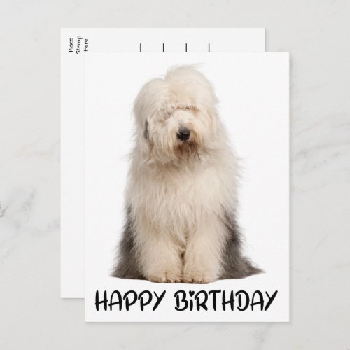 Cute Puppy Dog Old English Sheepdog Birthday Postcard