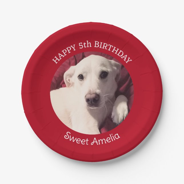 Cute Puppy Dog Photo 5th Birthday Red Party Paper Plates (Front)