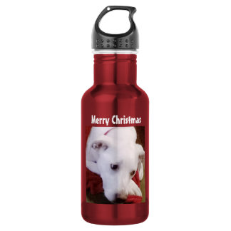 Cute Puppy Dog Photo Christmas Red Stainless Steel Water Bottle