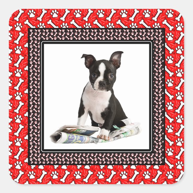 Cute Puppy Dog Photo Paw and Bone Template Square Sticker (Front)