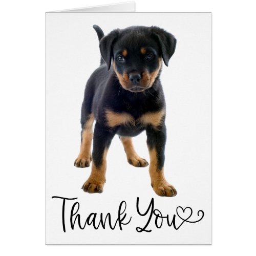 Cute Puppy Dog Rottweiler Thank You