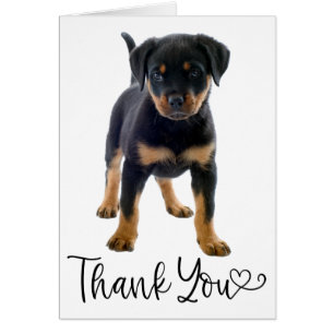 Cute Puppy Dog Rottweiler Thank You Cards