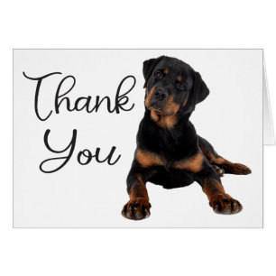 Cute Puppy Dog Rottweiler Thank You Cards