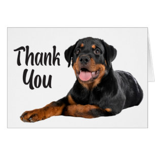 Cute Puppy Dog Rottweiler Thank You Cards