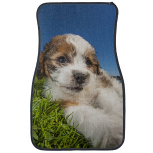 Cute puppy dog (Shitzu) Car Mat