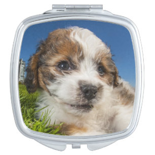 Cute puppy dog (Shitzu) Mirror For Makeup