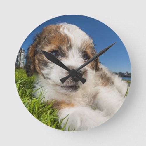 Cute puppy dog Shitzu Round Clock