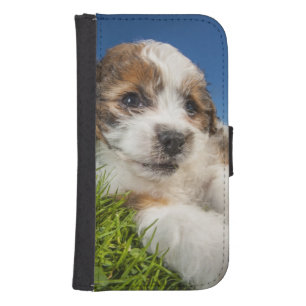 Cute puppy dog (Shitzu) Wallet Phone Case For Samsung Galaxy S4