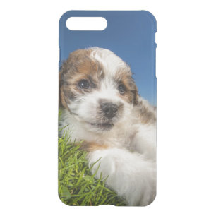 Cute puppy dog (Shitzu) iPhone 8 Plus/7 Plus Case