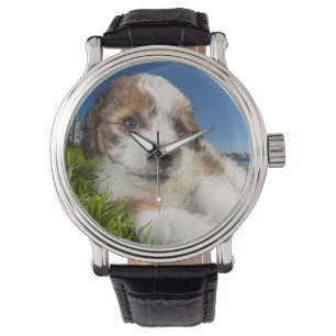 Cute puppy dog (Shitzu) Watch