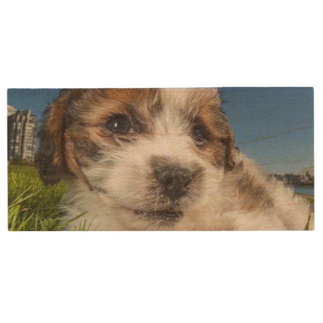 Cute puppy dog (Shitzu) Wood USB Flash Drive (Front)