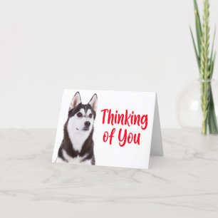 Cute Puppy Dog Siberian Husky Thinking of You Card