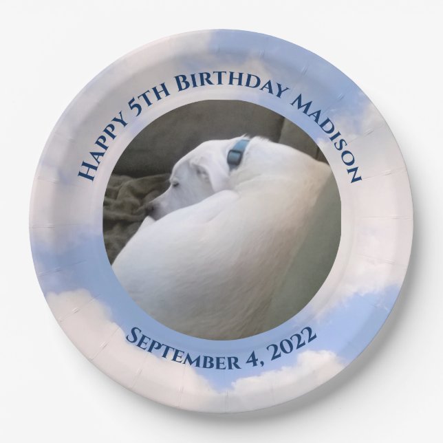 Cute Puppy Dog Sleeping Blue Sky 5th Birthday Paper Plates (Front)