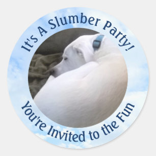 Cute Puppy Dog Sleeping Photo Slumber Party Classic Round Sticker