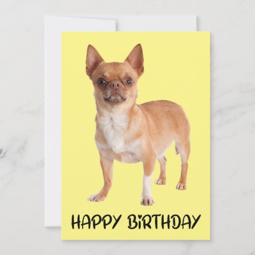 Cute Puppy Dog Yellow Funny Chihuahua Birthday Card