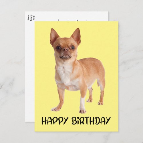 Cute Puppy Dog Yellow Funny Chihuahua Birthday  Postcard