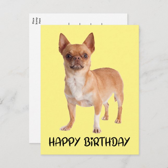 Cute Puppy Dog Yellow Funny Chihuahua Birthday  Postcard (Front/Back)