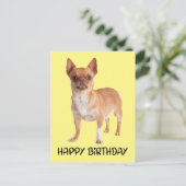 Cute Puppy Dog Yellow Funny Chihuahua Birthday  Postcard (Standing Front)