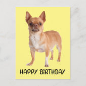 Cute Puppy Dog Yellow Funny Chihuahua Birthday  Postcard (Front)