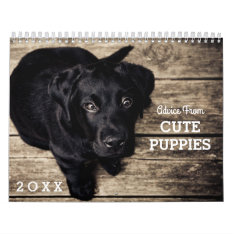 Cute Puppy Dogs Funny Inspirational Advice 20xx Calendar at Zazzle