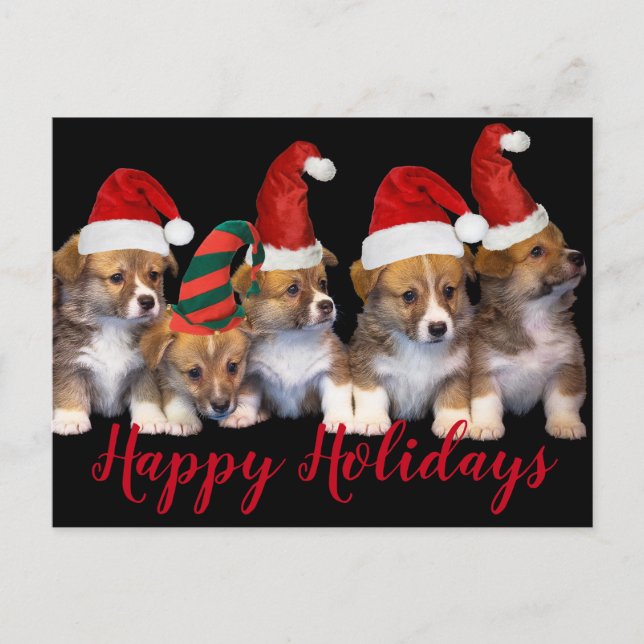 Cute Puppy Dogs Happy Holidays Christmas Postcard (Front)