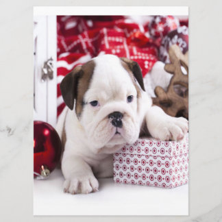 Cute Puppy English Bulldog | Funny Christmas Menu