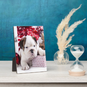 Cute Puppy English Bulldog Funny Christmas Plaque