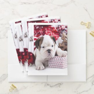 Cute Puppy English Bulldog | Funny Christmas Pocket Folder