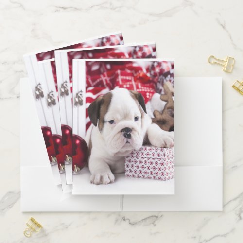 Cute Puppy English Bulldog  Funny Christmas Pocket Folder