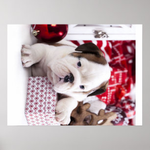 Cute Puppy English Bulldog Funny Christmas Poster