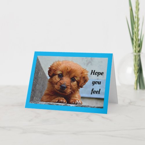 Cute Puppy Get Well Card