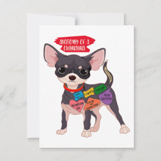 Cute Puppy Gift Anatomy Of A Chihuahua Thank You Card