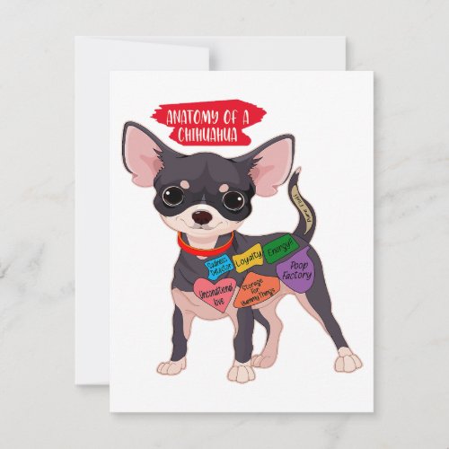 Cute Puppy Gift Anatomy Of A Chihuahua  Thank You Card