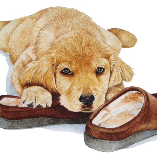 cute puppy golden retriever sad dog missing you card