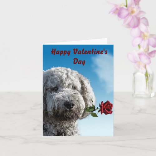 Cute Puppy Happy Valentines Day Card
