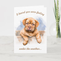 Cute Puppy Hope You Feel Better Get Well