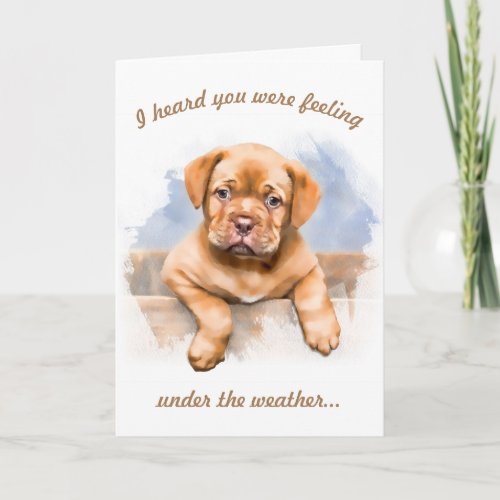 Cute Puppy Hope You Feel Better Get Well Card