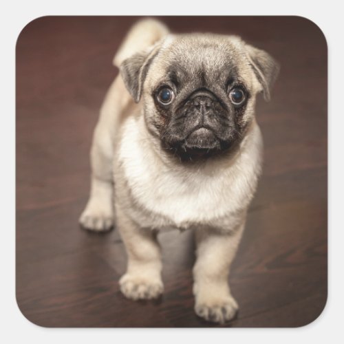 Cute puppy I love my puppy  Square Sticker